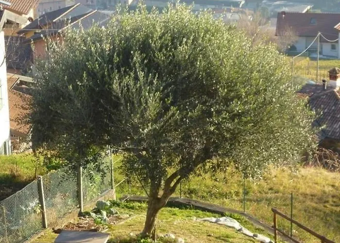 Casa Luna' Mit Wasserblick By Interhome Apartment *